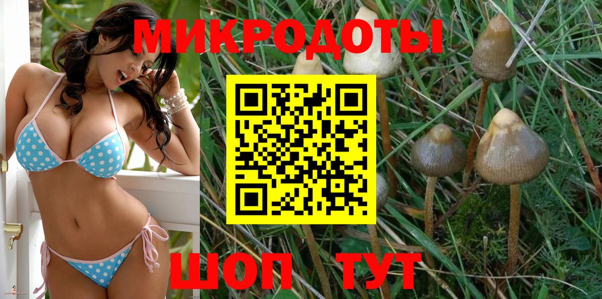 Псилоцибиновые грибы Magic Shrooms Куйбышев